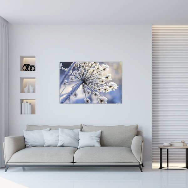 Kép - Fagyott virág (90x60 cm)