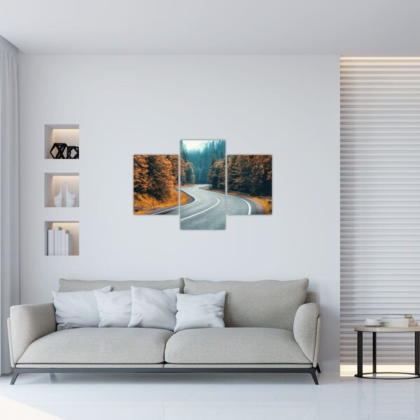 Kép - Kanyargós út (90x60 cm)