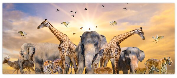 Kép - Afrikai állatok (120x50 cm)
