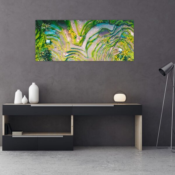 A rizsföldek képe madártávlatból (120x50 cm)