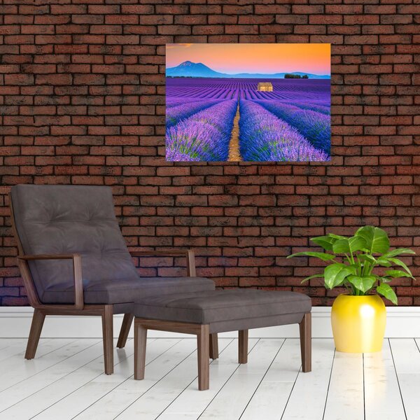 Kép - Levendula mező (70x50 cm)