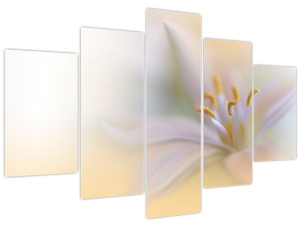 Kép - Gyengéd virág (150x105 cm)