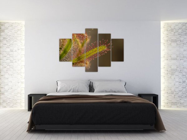 A növény képe (150x105 cm)