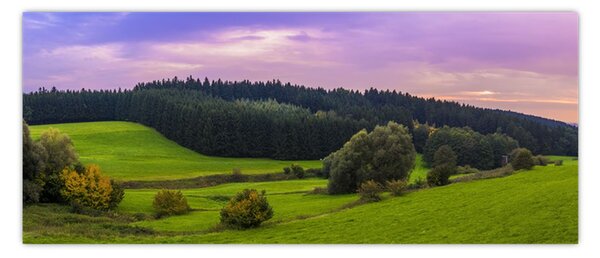 Rét képe (120x50 cm)