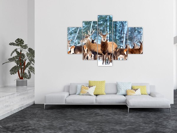 Kép - Szarvas csorda (150x105 cm)