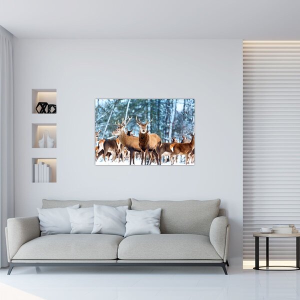 Kép - Szarvas csorda (90x60 cm)