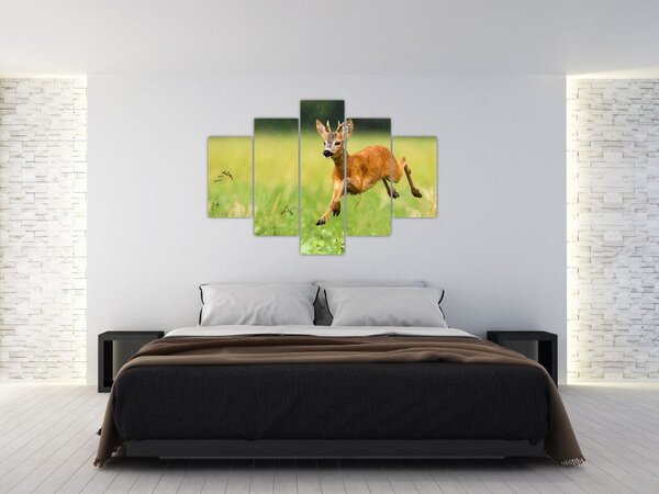 Kép - Őz (150x105 cm)