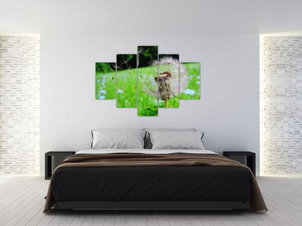Pitypang képe (150x105 cm)