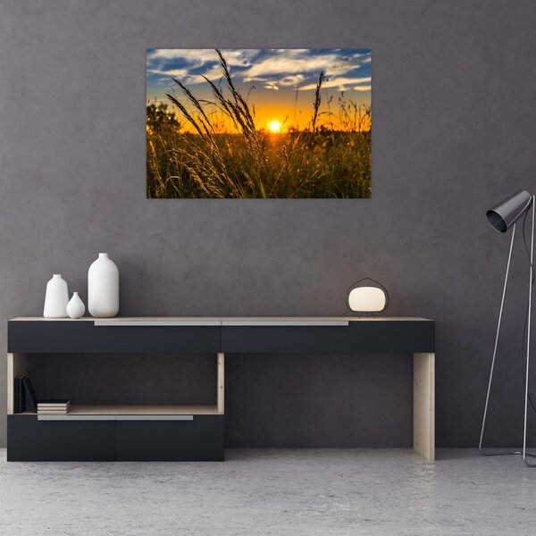 A mező naplementekor képe (90x60 cm)