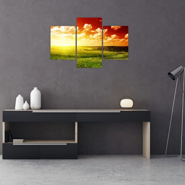 Rét képe ragyogó napfénnyel (90x60 cm)