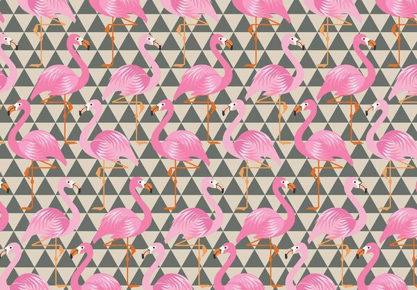 Fotótapéta - Flamingók (152,5x104 cm)