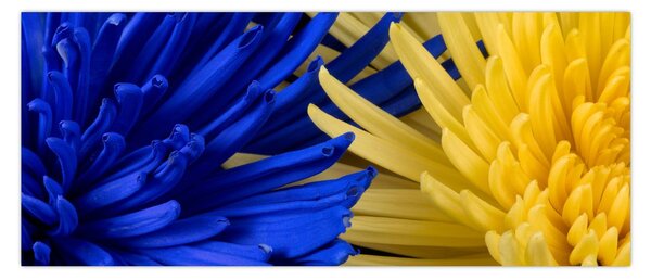 Kép - virág részlet (120x50 cm)