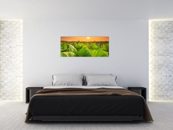Kép - Mező (120x50 cm)