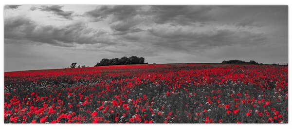 Pipacsos kép (120x50 cm)