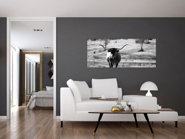 Kép - Tehén, fekete-fehér (120x50 cm)