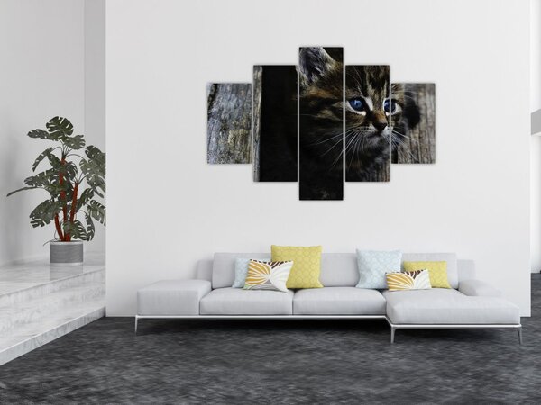Cica képe (150x105 cm)