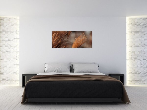 Kép - Cortaderia (120x50 cm)