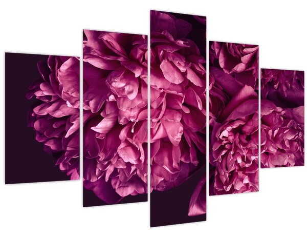 Kép - Csokor pünkösdi rózsa (150x105 cm)