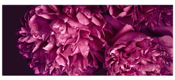 Kép - Csokor pünkösdi rózsa (120x50 cm)