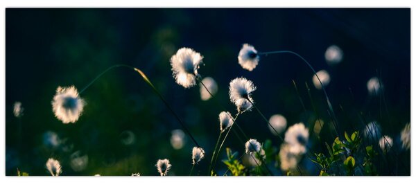 Kép - Fű (120x50 cm)