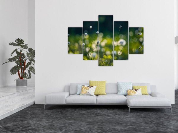 Kép - Fű (150x105 cm)