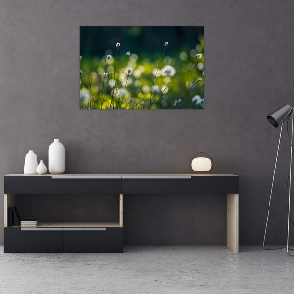 Kép - Fű (90x60 cm)
