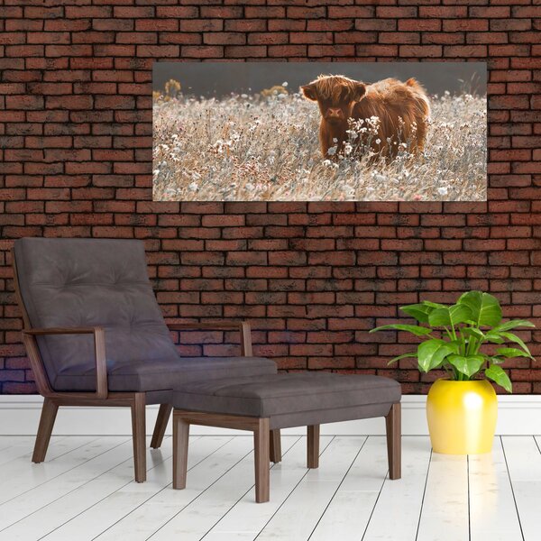 Kép - Skót tehén a virágban (120x50 cm)