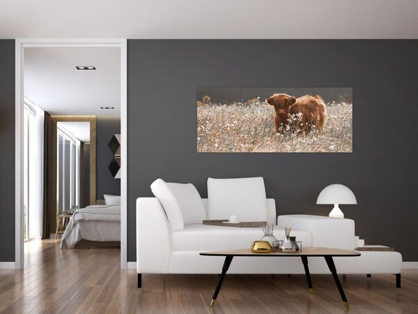 Kép - Skót tehén a virágban (120x50 cm)
