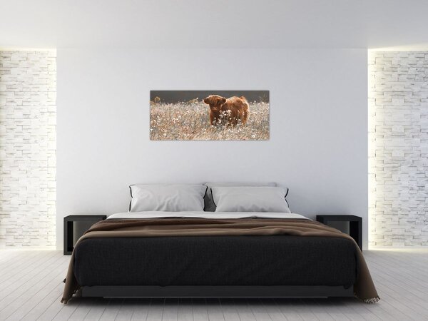 Kép - Skót tehén a virágban (120x50 cm)