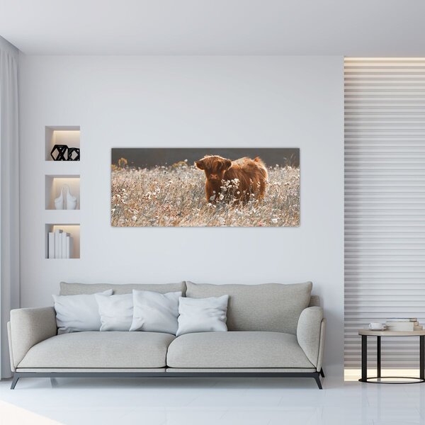 Kép - Skót tehén a virágban (120x50 cm)