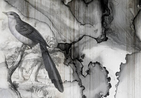 Fotótapéta - Madár - kiömlött tinta (152,5x104 cm)