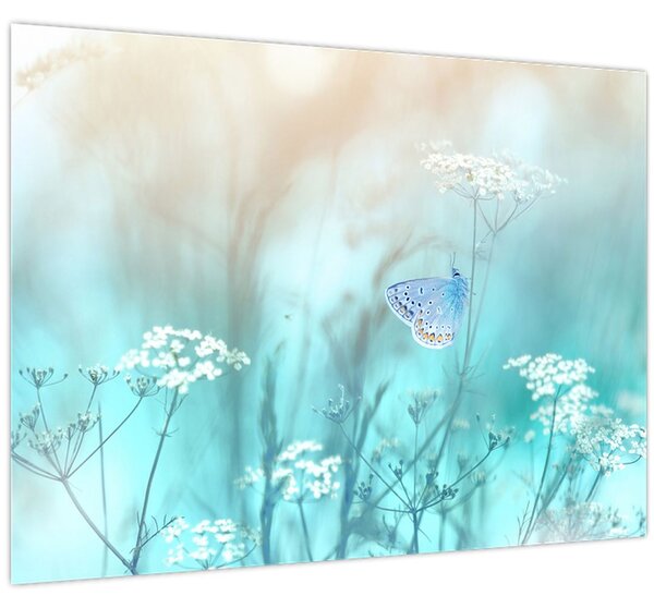 Kép - Pillangó kékben (70x50 cm)
