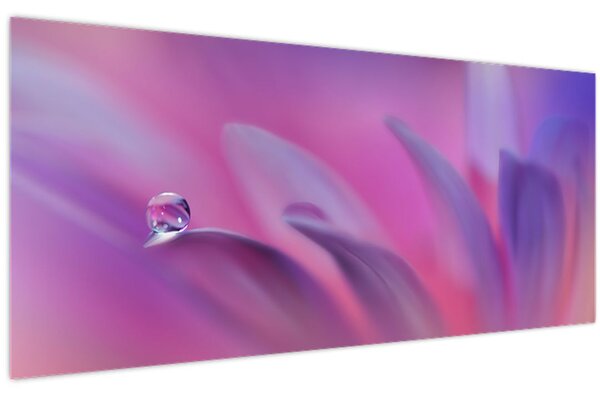 Kép - Csepp a virágon (120x50 cm)