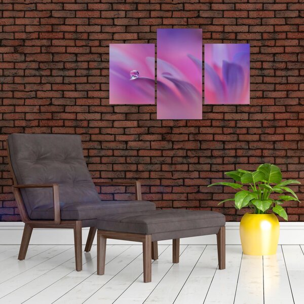Kép - Csepp a virágon (90x60 cm)