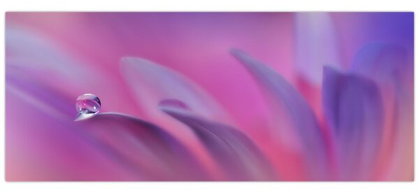 Kép - Csepp a virágon (120x50 cm)