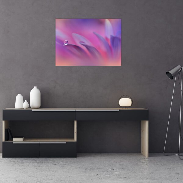 Kép - Csepp a virágon (70x50 cm)