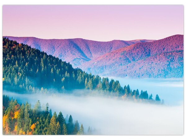 Kép - Panoráma 2 (70x50 cm)