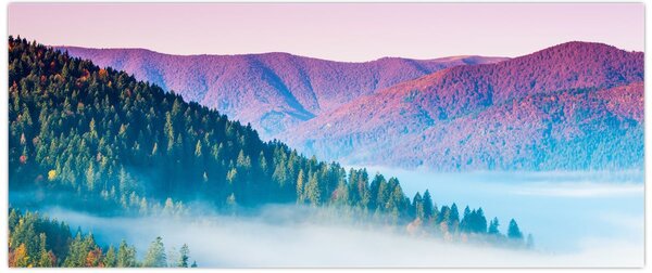 Kép - Panoráma 2 (120x50 cm)