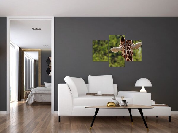 A zsiráf képe hátulról (90x60 cm)