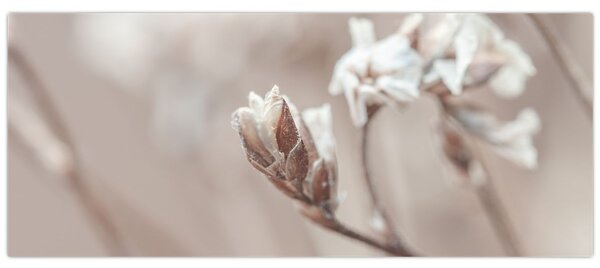 Kép - Ág részlet (120x50 cm)