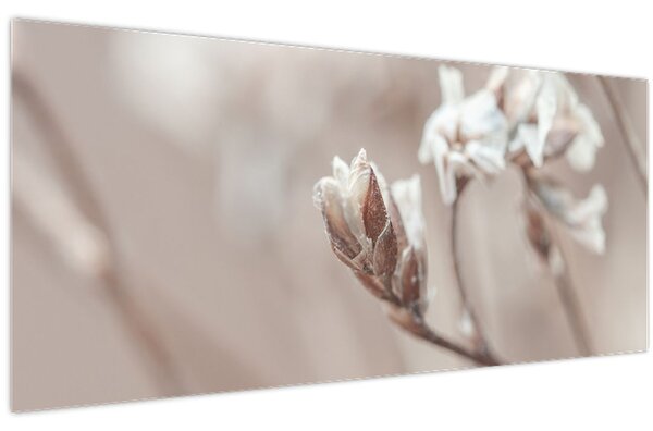 Kép - Ág részlet (120x50 cm)