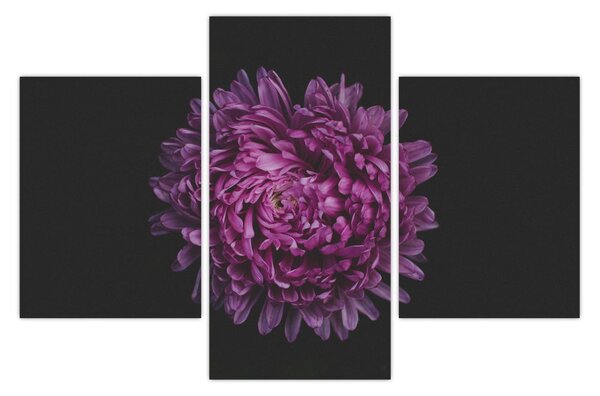 Lila virág képe (90x60 cm)