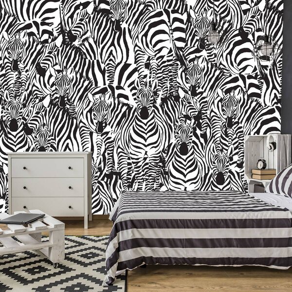 Fotótapéta - Zebra (152,5x104 cm)