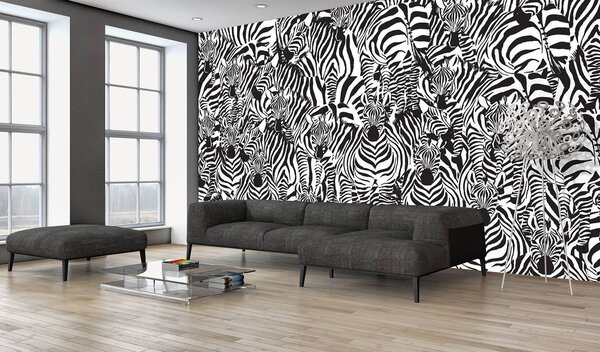 Fotótapéta - Zebra (152,5x104 cm)