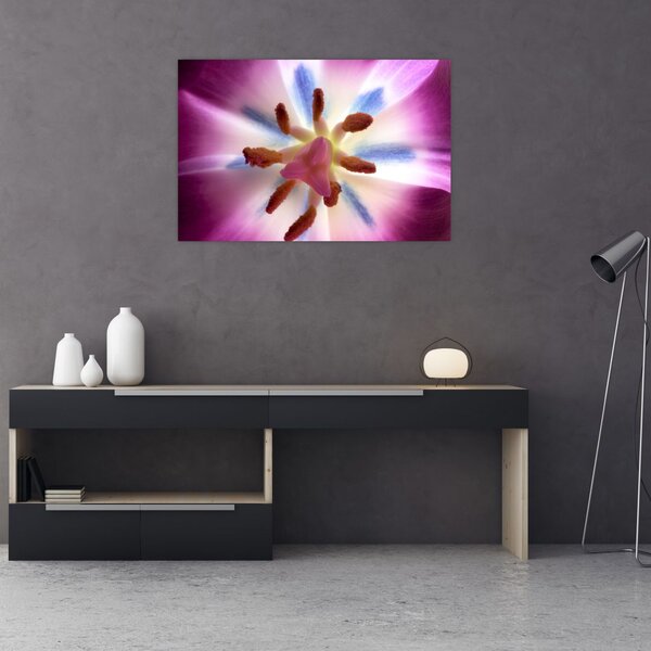 Kép - Tulipán virág részletesen (90x60 cm)