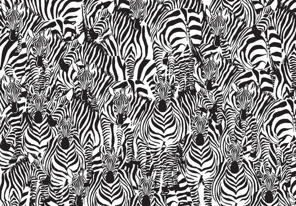 Fotótapéta - Zebra (152,5x104 cm)