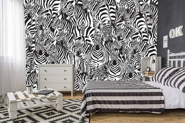 Fotótapéta - Zebra (152,5x104 cm)