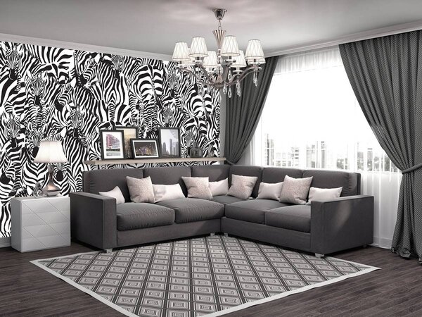 Fotótapéta - Zebra (152,5x104 cm)