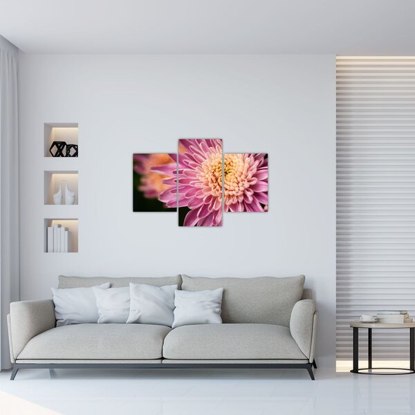 Részletes virágkép (90x60 cm)