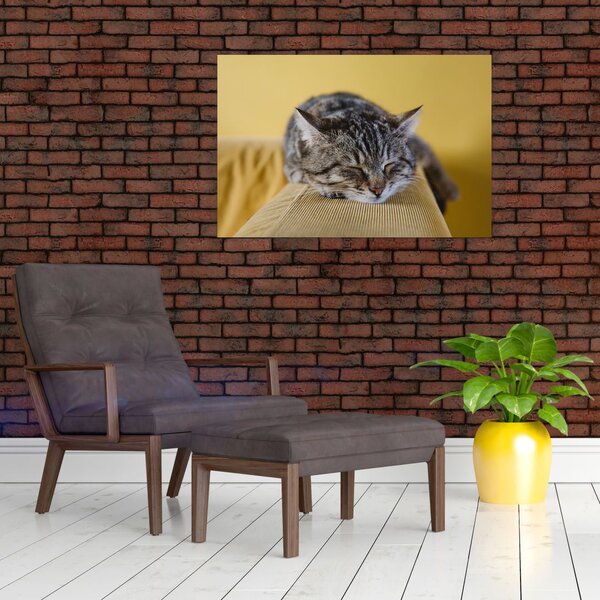 Macska a kanapén képe (90x60 cm)